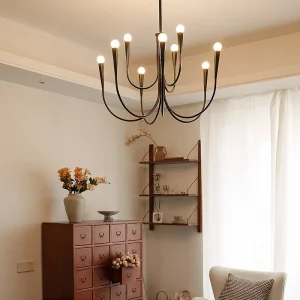 Dining Room or Living Room Chandelier